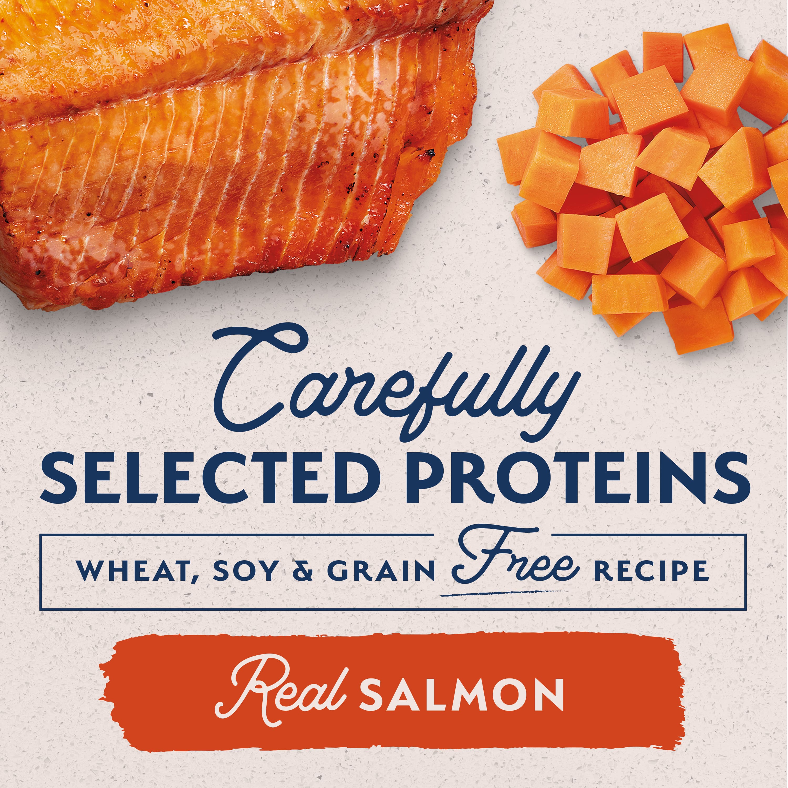 Natural Balance Dog LID Sweet Potato & Salmon