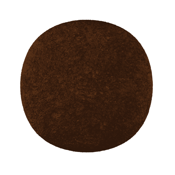 Royal Canin Small Dog Digestive Care