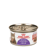royal canin spayed and neutered thin slices