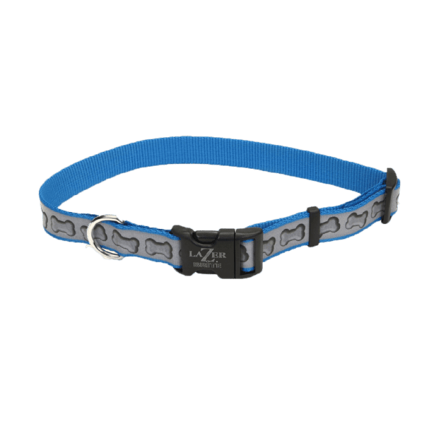 Lazer Brite Reflective Adjustable Dog Collar Turquoise Bones-lg