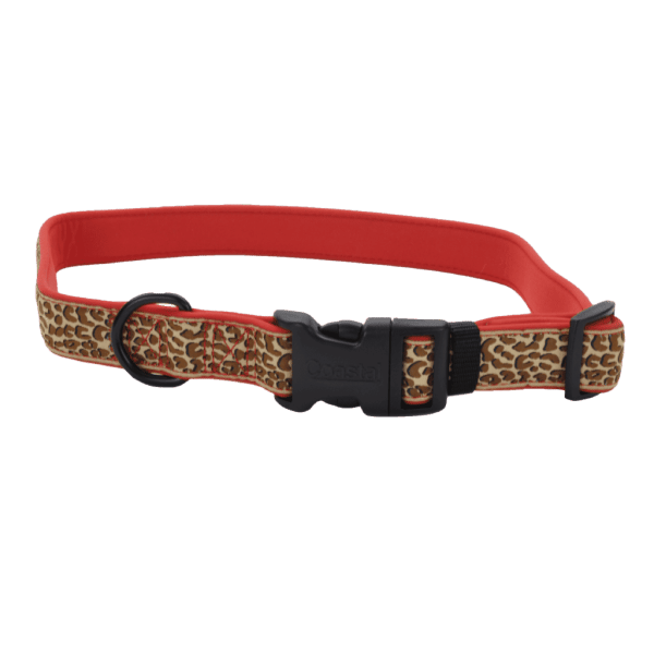 Coastal Ribbon Weave Collars Assorted
