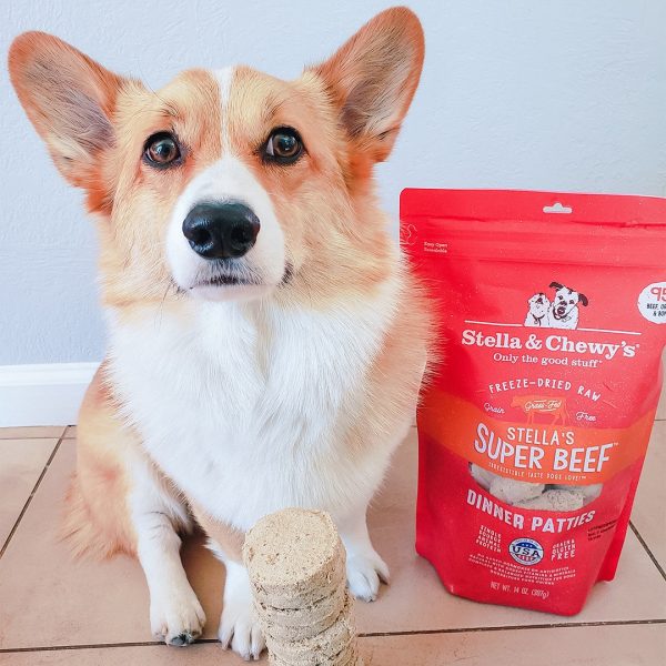 14oz_Lifestyle_DogWithProduct_FDPatties_Beef_FDB-14