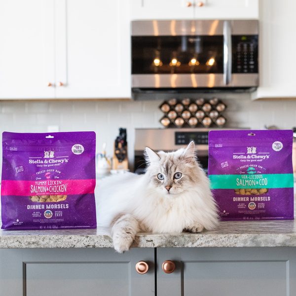 Stella & Chewy's Cat Freeze Dried Salmon & Chicken Morsels