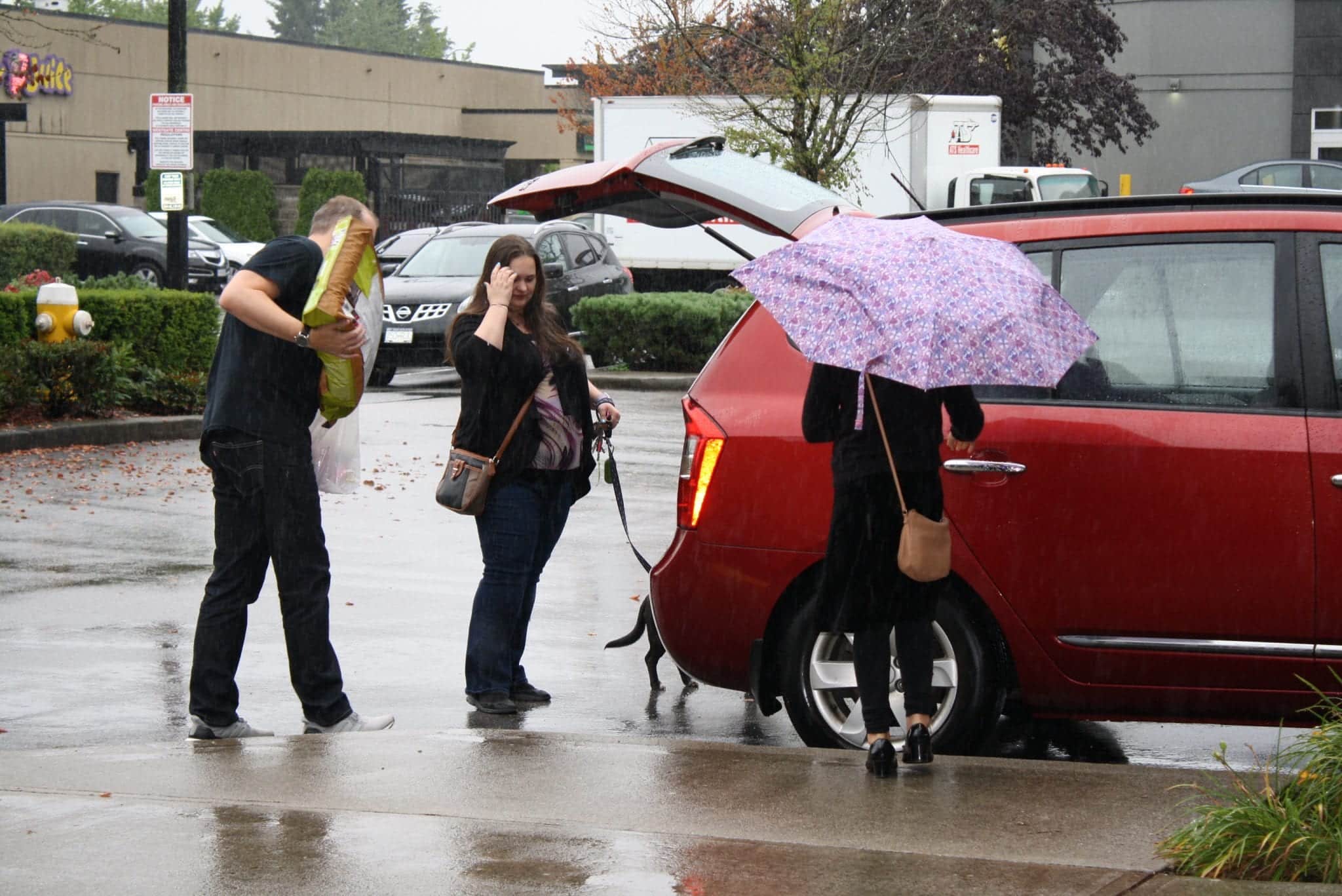 Maple Ridge Pet Food 'N More Location Pet Food 'N More