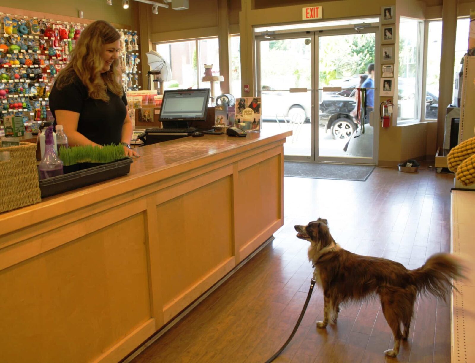 Vancouver Oak Pet Food 'N More Location Pet Food 'N More