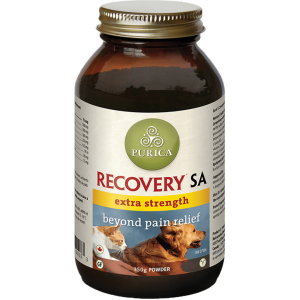 Purica Recovery SA Extra Strength Powder 350g