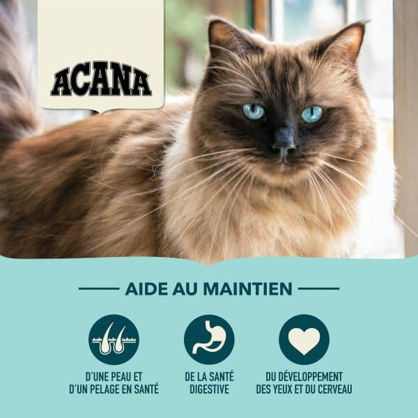 ACANA Cat Bountiful Catch Key Features Canada French