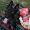 Stella & Chewy Dog Freeze Dried Absolutely Rabbit Patties