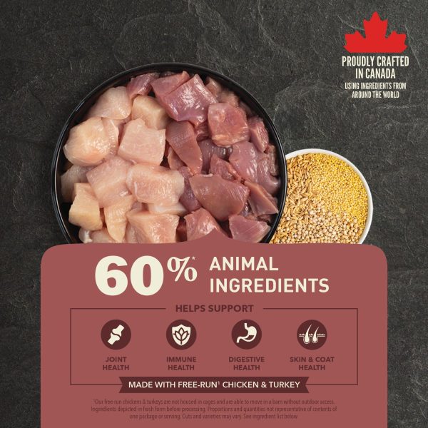 ACANA Healthy Grains Large Breed Recipe 60% Bowl Image Canada English