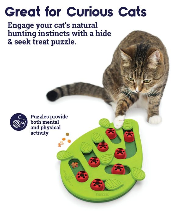 Treat Puzzle Cat Buggin Out 4