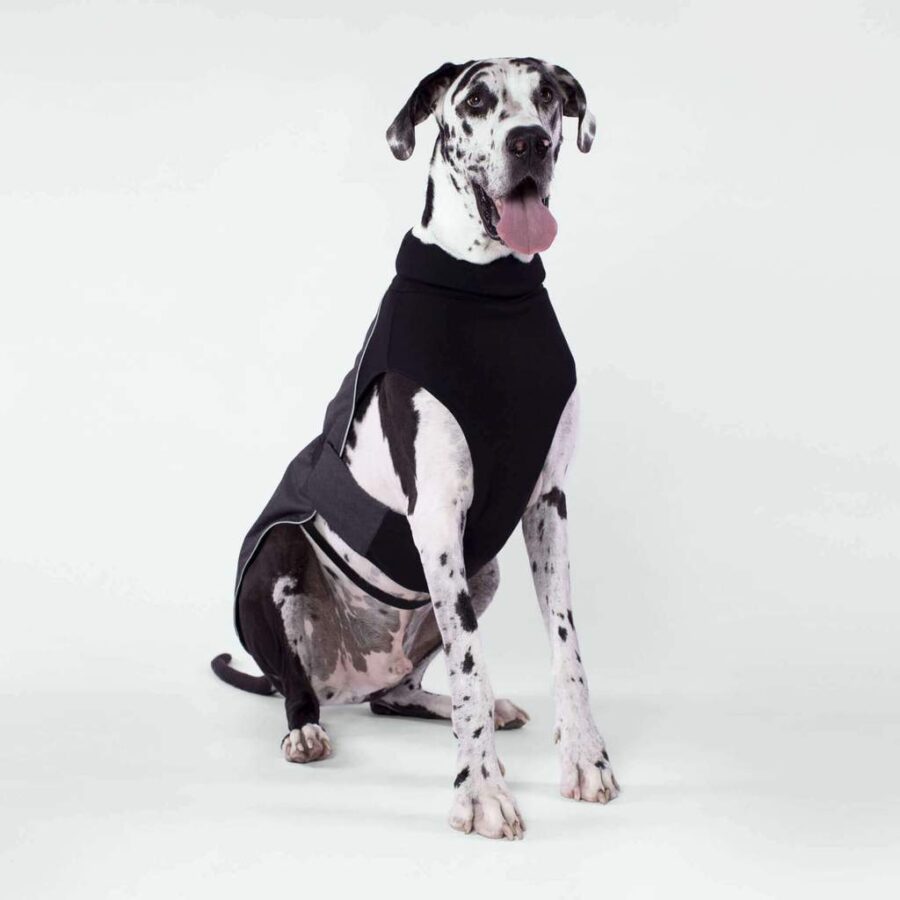 Canada Pooch Expedition Charcoal Coat