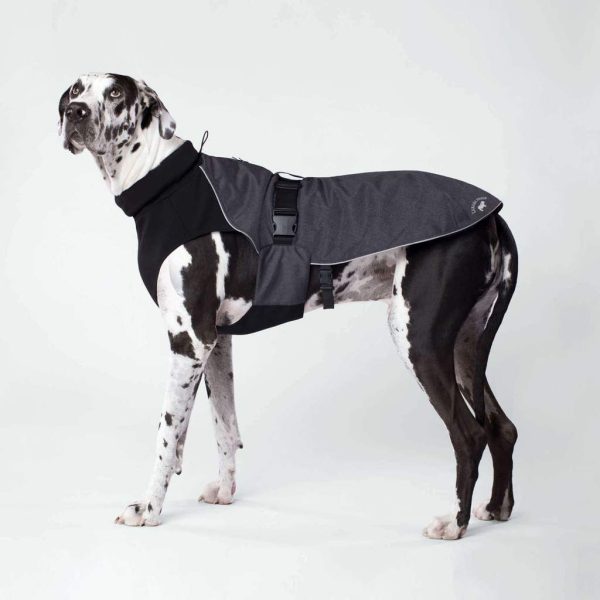 Canada Pooch Expedition Charcoal Coat