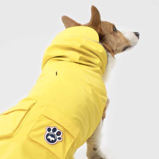 Canada Pooch Torrential Tracker Yellow Coat