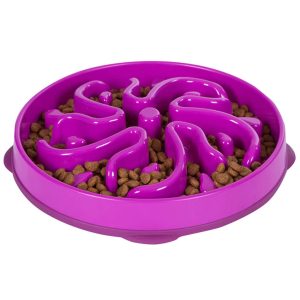 Fun Feeder Dog Bowl in Purple