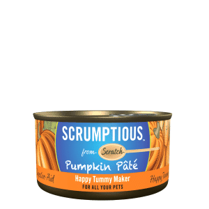 Scrumptious from Scratch Cat Pumpkin Puree