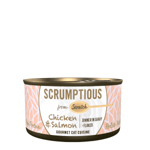 scrumptious from scratch chicken and salmon cat food