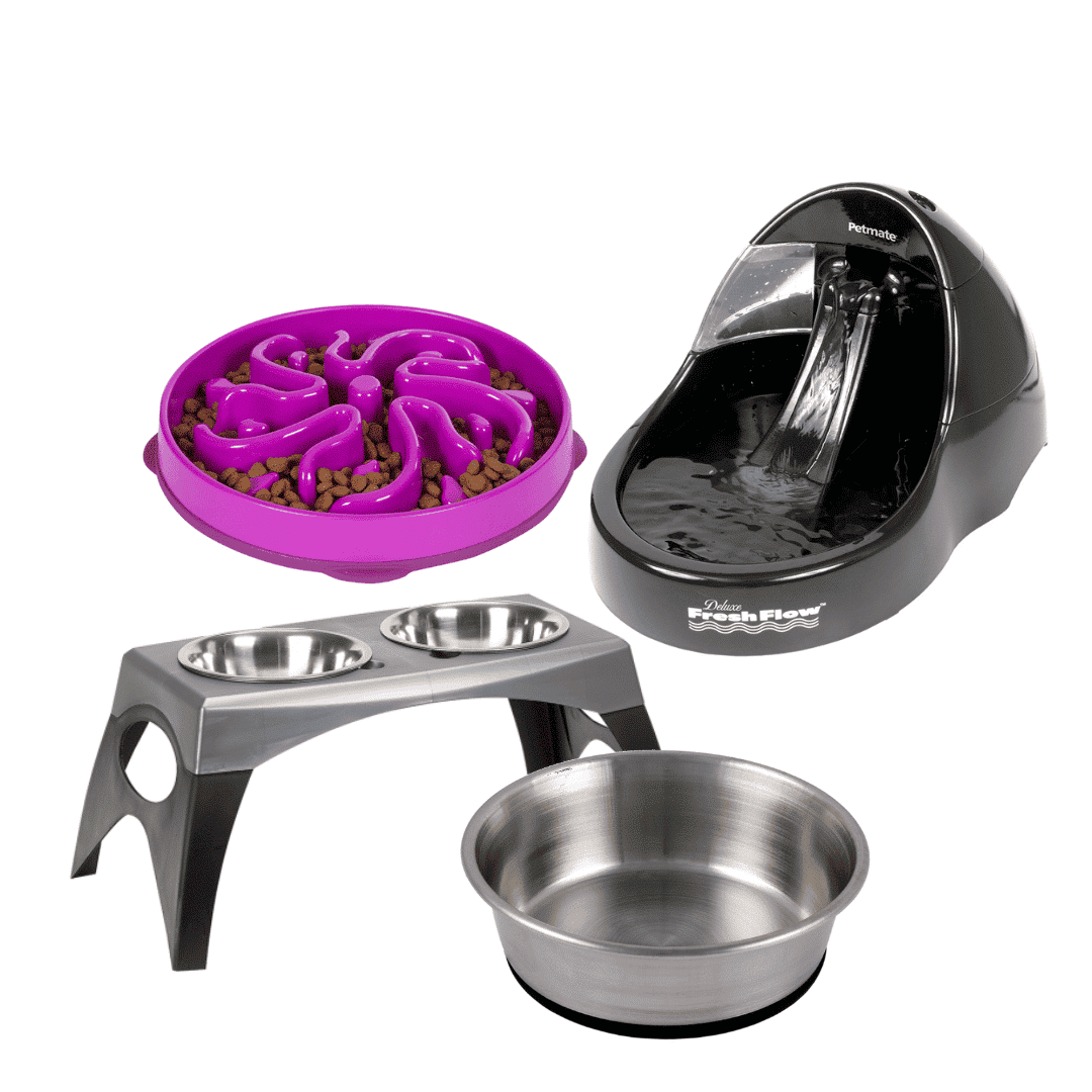 Dog Bowls & Feeders Pet Food 'N More