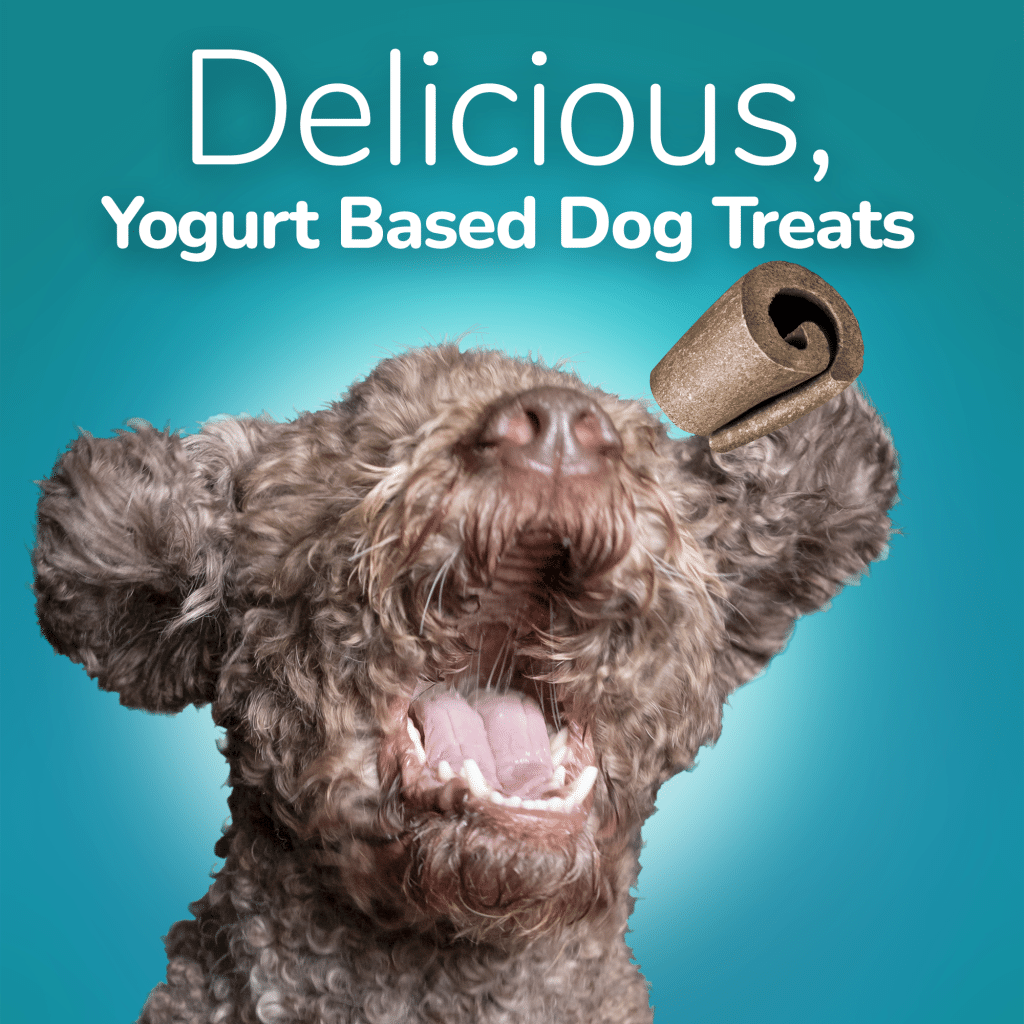 Fruitables Yogos with Yogurt & Coconut 340g Pet Food 'N More