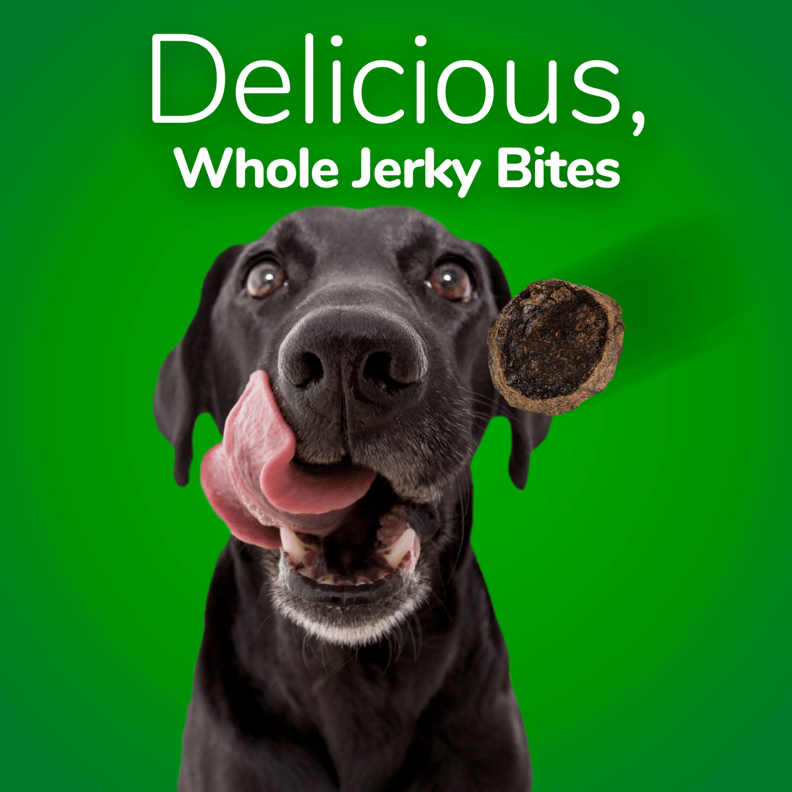 Fruitables Bacon & Apple Jerky Bites Pet Food 'N More