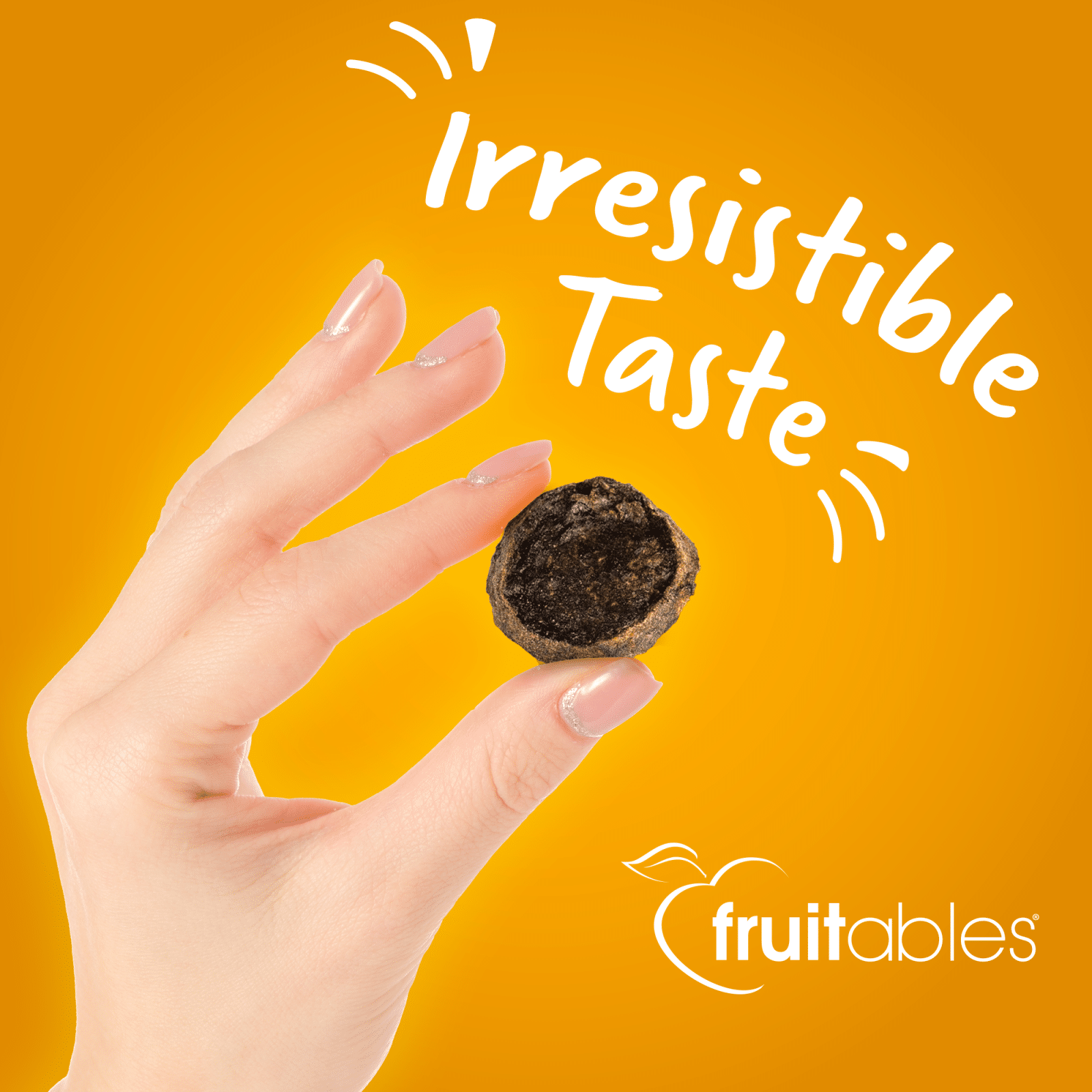 Fruitables Grilled Bison & Apple Jerky Bites Pet Food 'N More