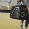 Bergan Comfort Pet Carrier Black Airport Asleep Bergan Comfort Pet Carrier Black Airport Asleep