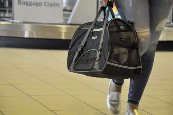 Bergan Comfort Pet Carrier Black Airport Asleep Bergan Comfort Pet Carrier Black Airport Asleep