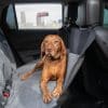 Bergan Hammock Seat Protector 1 Dog Lifestyle