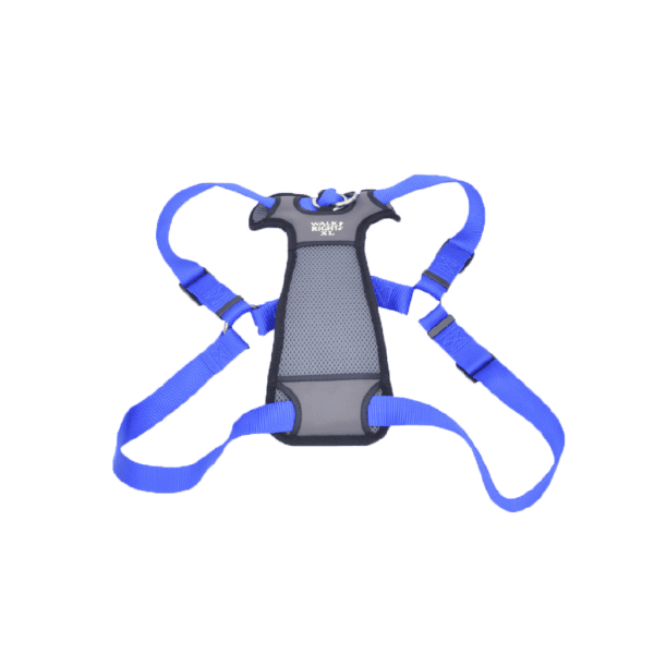 Coastal Walk Right Dog Front-Connect Harness Blue