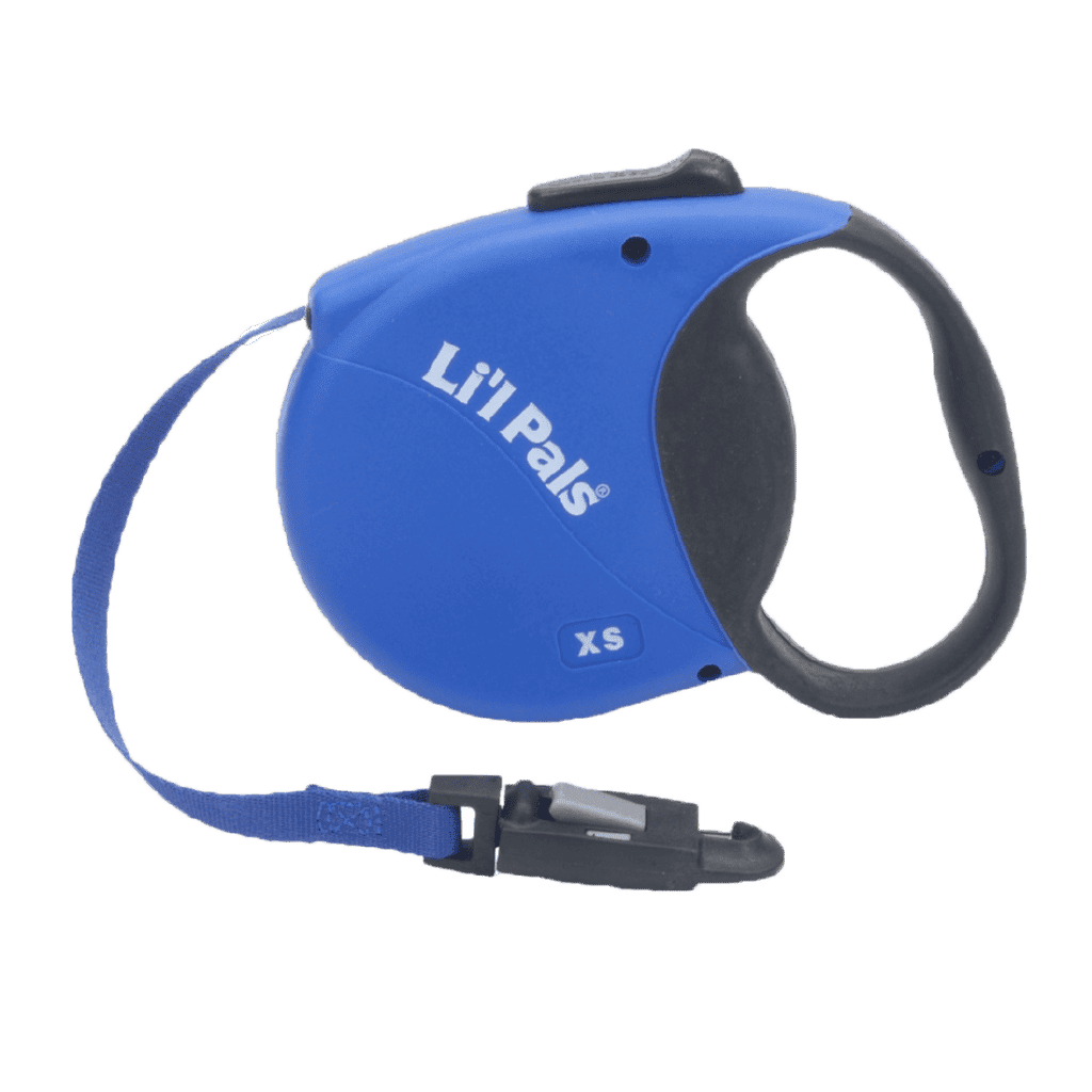 mini flexi leash