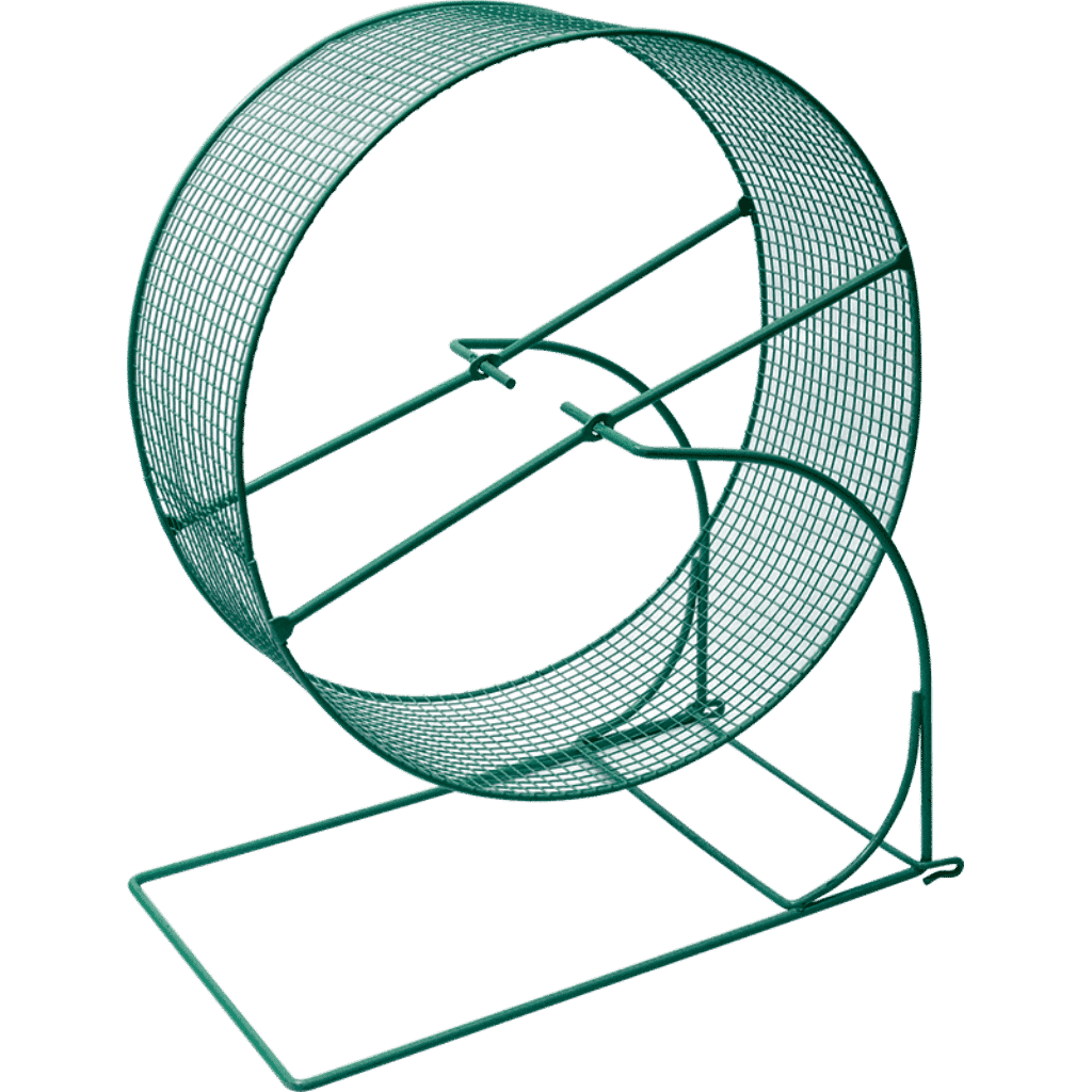 kaytee run around wheel