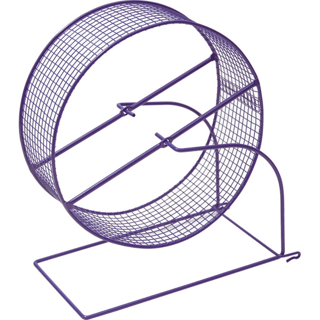 kaytee run around wheel