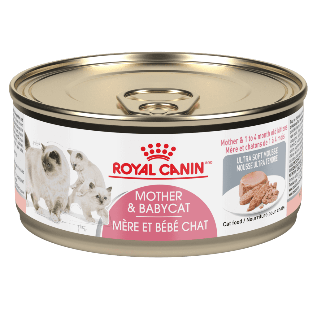 Royal Canin Mother & Babycat Mousse Pet Food 'N More